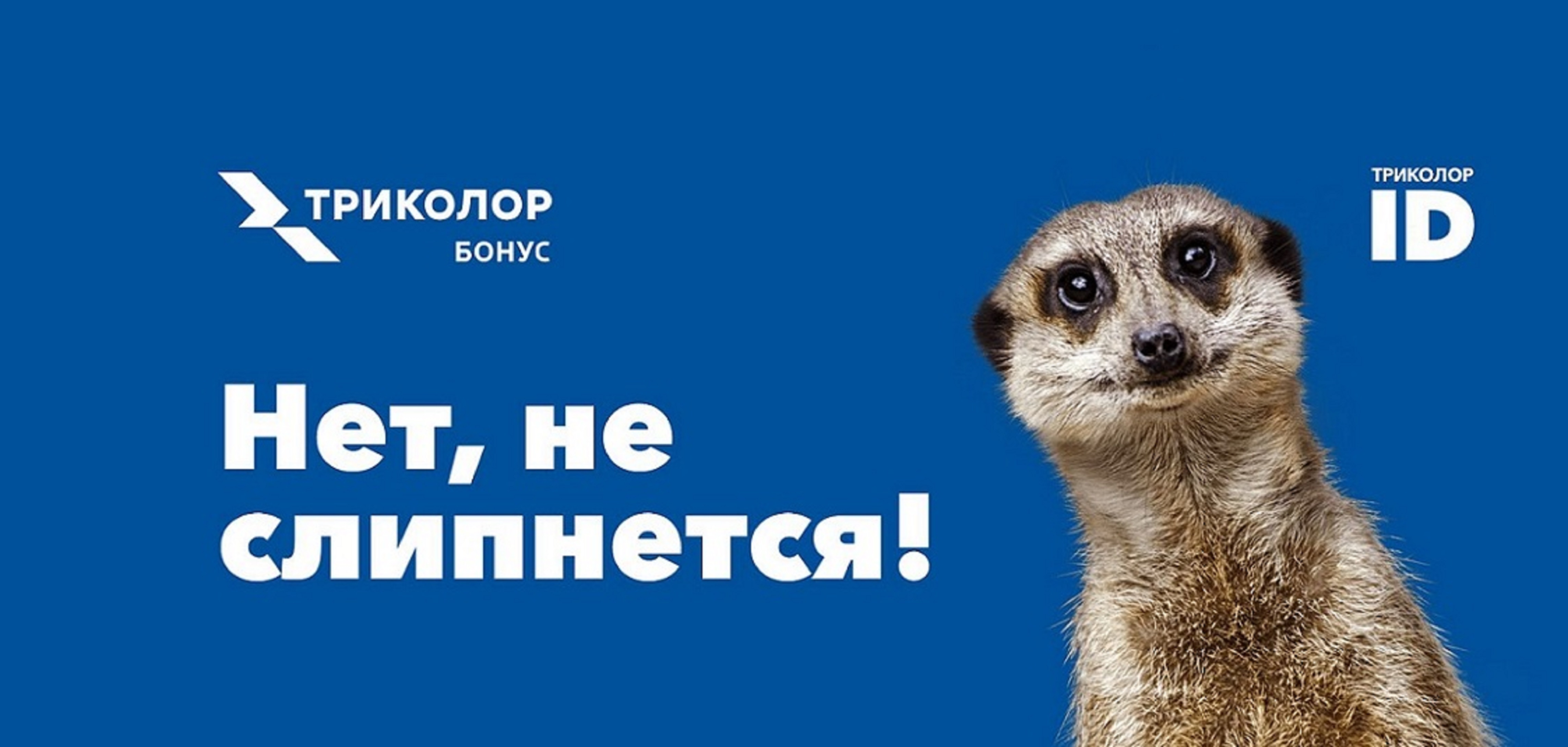 Триколор бонус